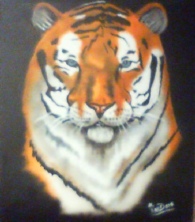 Tiger By Bob VanDorn